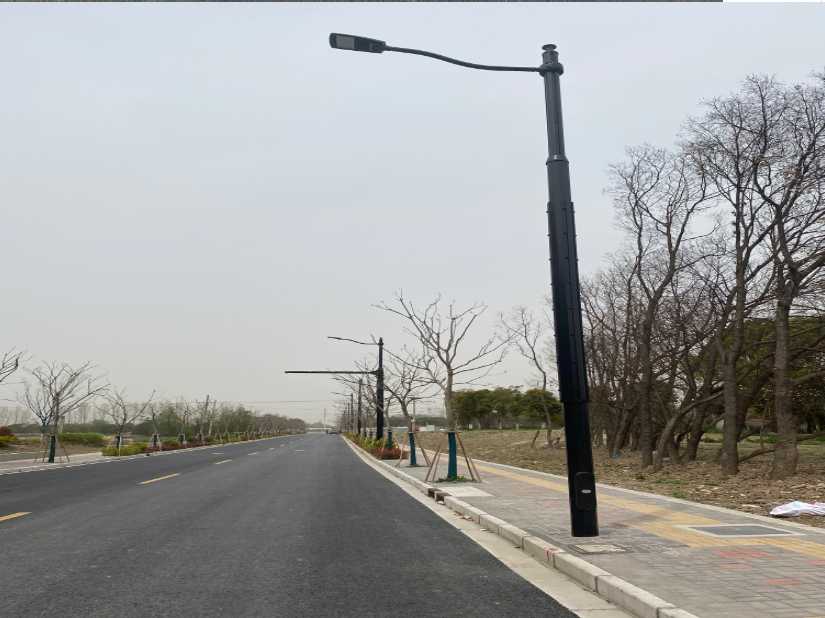 乐东黎族自治县上海综合杆 太阳能路灯工程